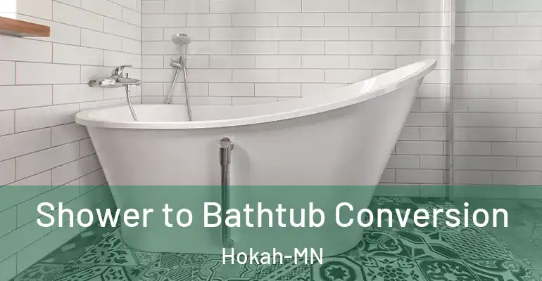 inner Bathroom imggen Shower to Bathtub Conversion Hokah-MN