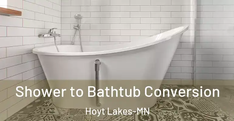 inner Bathroom imggen Shower to Bathtub Conversion Hoyt Lakes-MN