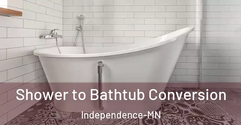 inner Bathroom imggen Shower to Bathtub Conversion Independence-MN