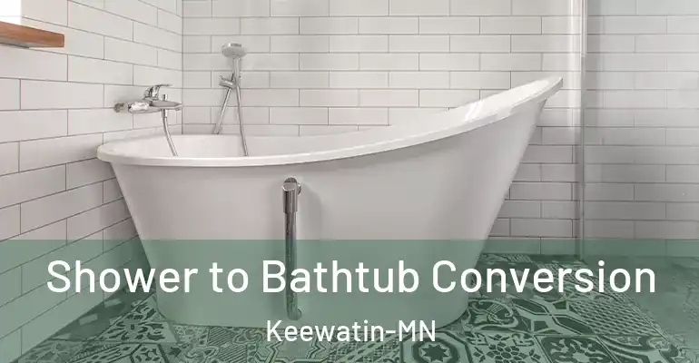 inner Bathroom imggen Shower to Bathtub Conversion Keewatin-MN