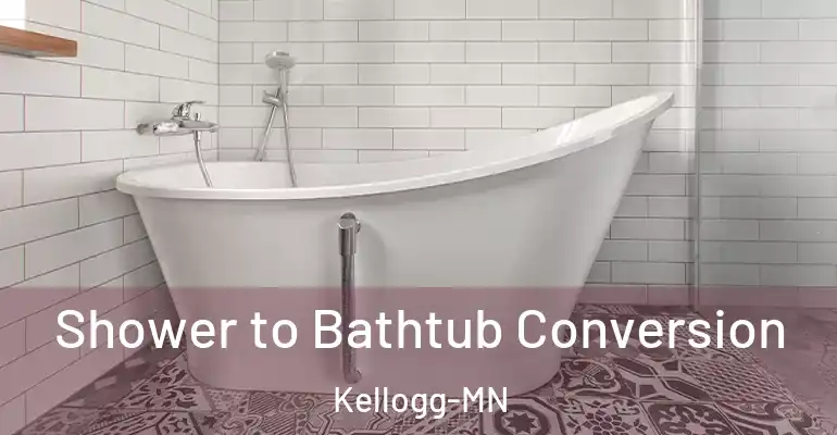 inner Bathroom imggen Shower to Bathtub Conversion Kellogg-MN