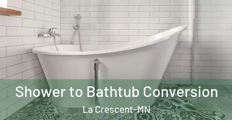 inner Bathroom imggen Shower to Bathtub Conversion La Crescent-MN