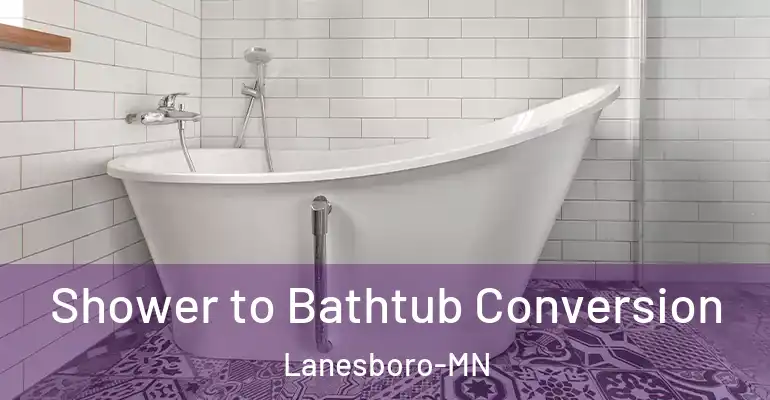 inner Bathroom imggen Shower to Bathtub Conversion Lanesboro-MN