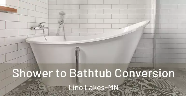 inner Bathroom imggen Shower to Bathtub Conversion Lino Lakes-MN