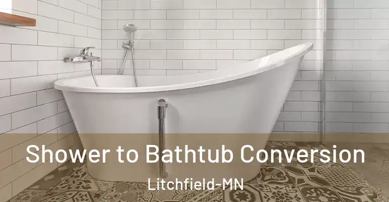 inner Bathroom imggen Shower to Bathtub Conversion Litchfield-MN