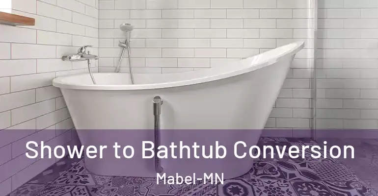 inner Bathroom imggen Shower to Bathtub Conversion Mabel-MN