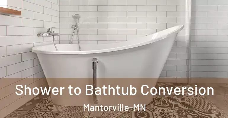 inner Bathroom imggen Shower to Bathtub Conversion Mantorville-MN