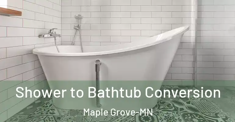 inner Bathroom imggen Shower to Bathtub Conversion Maple Grove-MN