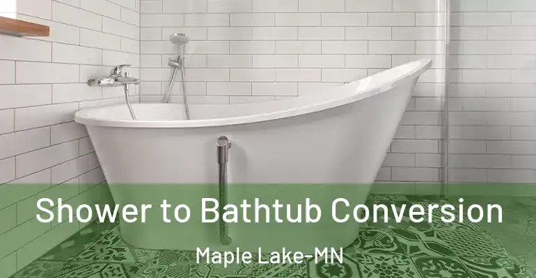 inner Bathroom imggen Shower to Bathtub Conversion Maple Lake-MN
