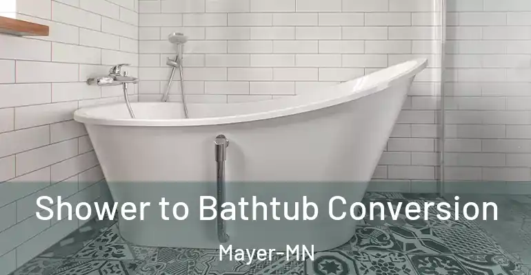 inner Bathroom imggen Shower to Bathtub Conversion Mayer-MN