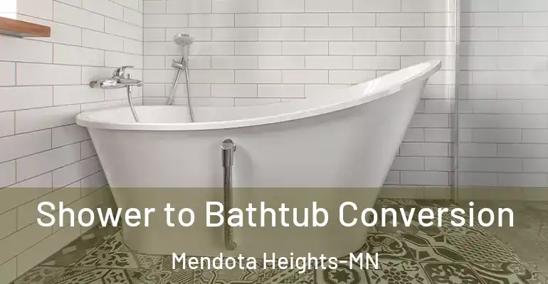 inner Bathroom imggen Shower to Bathtub Conversion Mendota Heights-MN