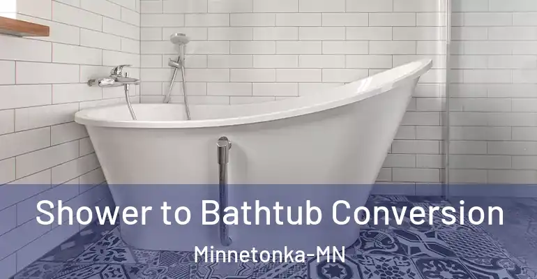inner Bathroom imggen Shower to Bathtub Conversion Minnetonka-MN