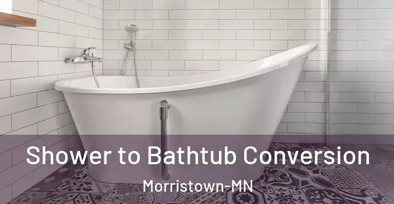 inner Bathroom imggen Shower to Bathtub Conversion Morristown-MN