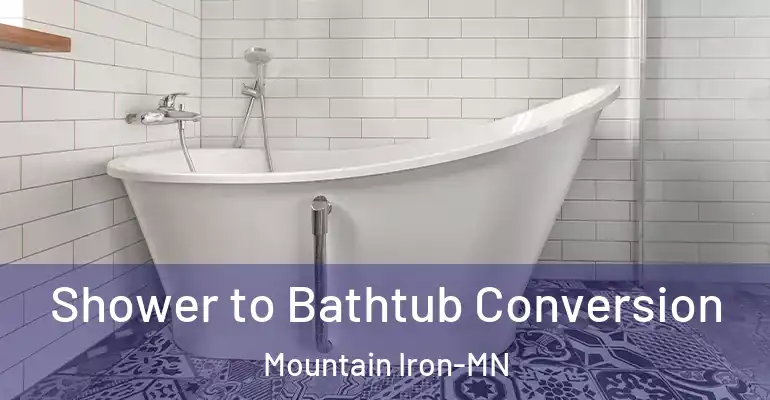 inner Bathroom imggen Shower to Bathtub Conversion Mountain Iron-MN