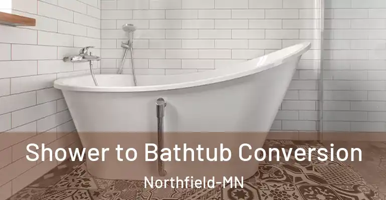 inner Bathroom imggen Shower to Bathtub Conversion Northfield-MN
