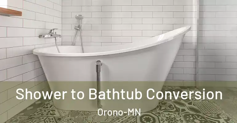 inner Bathroom imggen Shower to Bathtub Conversion Orono-MN