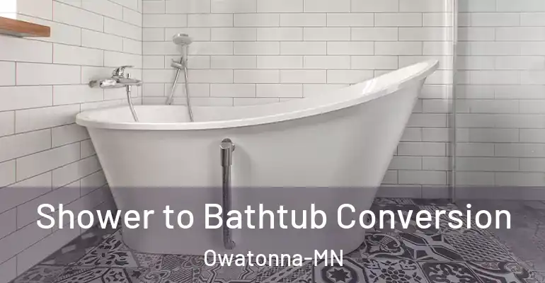 inner Bathroom imggen Shower to Bathtub Conversion Owatonna-MN