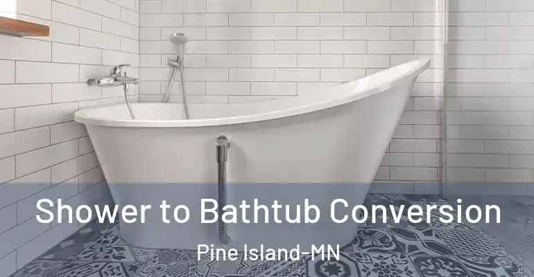 inner Bathroom imggen Shower to Bathtub Conversion Pine Island-MN