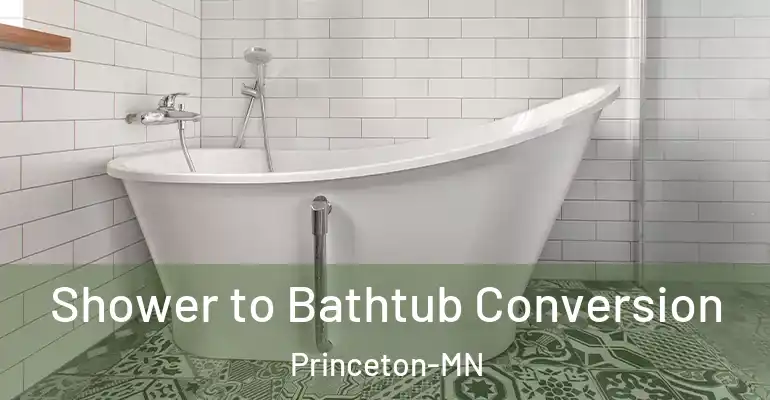 inner Bathroom imggen Shower to Bathtub Conversion Princeton-MN