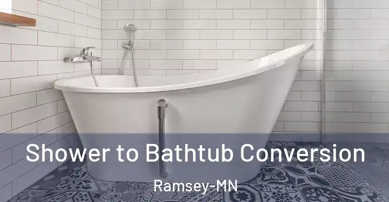 inner Bathroom imggen Shower to Bathtub Conversion Ramsey-MN