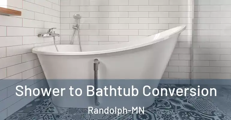 inner Bathroom imggen Shower to Bathtub Conversion Randolph-MN