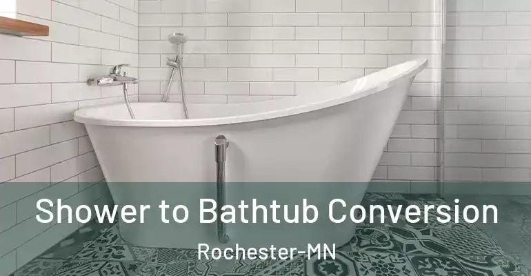 inner Bathroom imggen Shower to Bathtub Conversion Rochester-MN