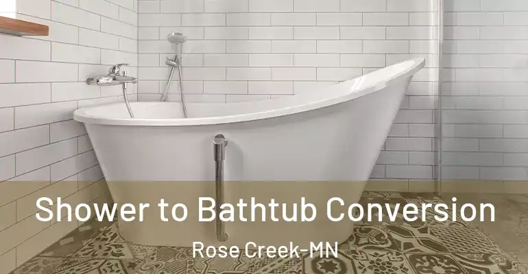 inner Bathroom imggen Shower to Bathtub Conversion Rose Creek-MN