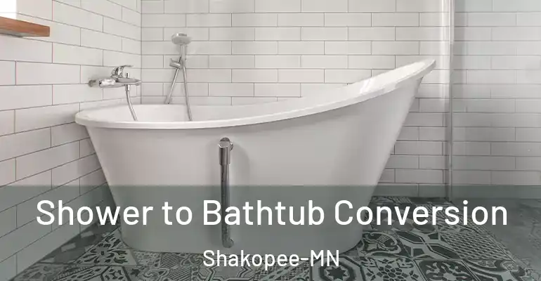 inner Bathroom imggen Shower to Bathtub Conversion Shakopee-MN