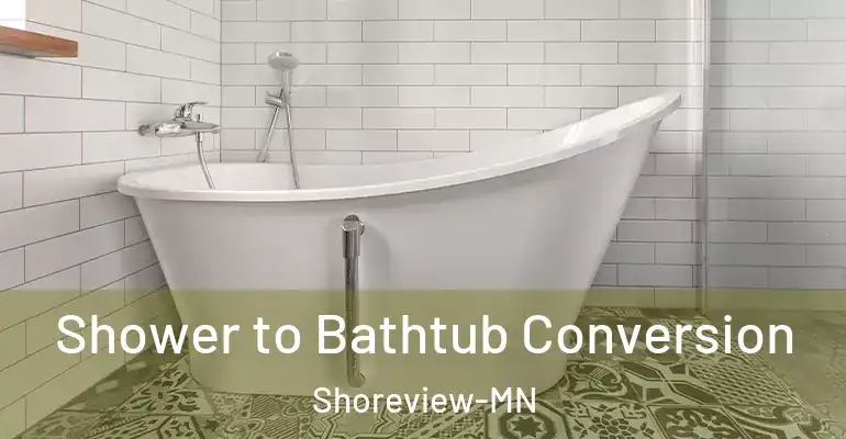inner Bathroom imggen Shower to Bathtub Conversion Shoreview-MN
