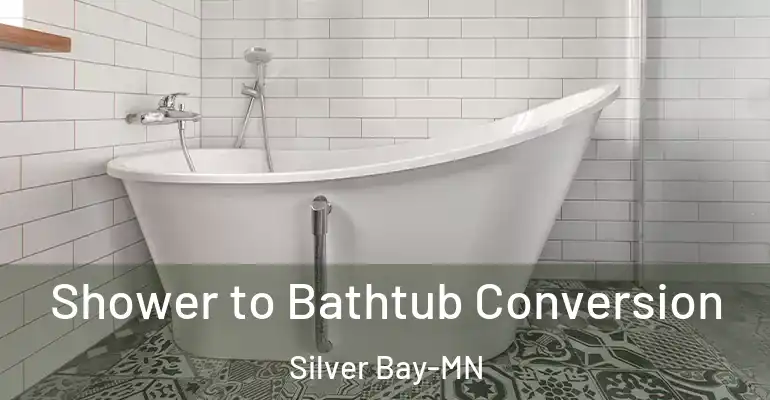 inner Bathroom imggen Shower to Bathtub Conversion Silver Bay-MN