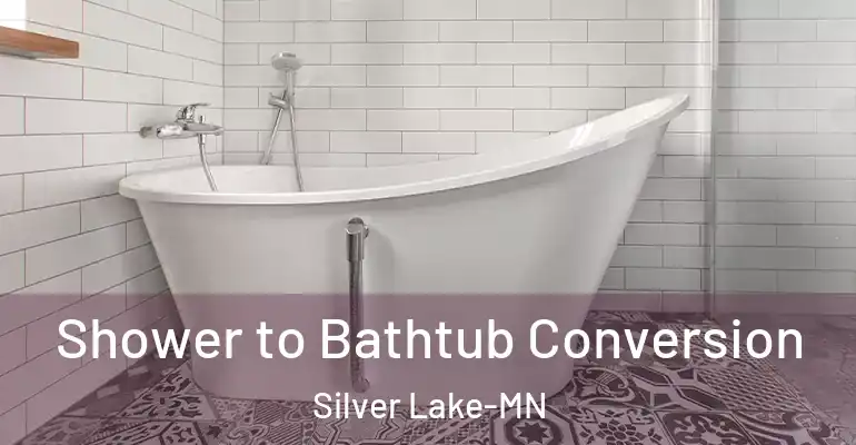 inner Bathroom imggen Shower to Bathtub Conversion Silver Lake-MN