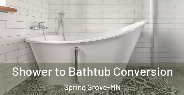 inner Bathroom imggen Shower to Bathtub Conversion Spring Grove-MN