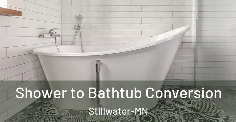 inner Bathroom imggen Shower to Bathtub Conversion Stillwater-MN