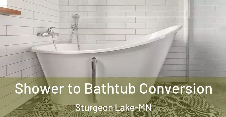 inner Bathroom imggen Shower to Bathtub Conversion Sturgeon Lake-MN