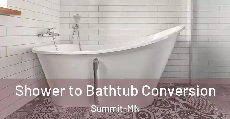 inner Bathroom imggen Shower to Bathtub Conversion Summit-MN