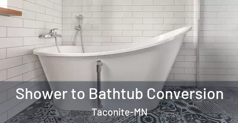 inner Bathroom imggen Shower to Bathtub Conversion Taconite-MN