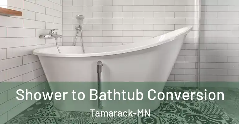 inner Bathroom imggen Shower to Bathtub Conversion Tamarack-MN