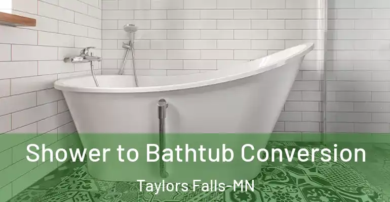 inner Bathroom imggen Shower to Bathtub Conversion Taylors Falls-MN