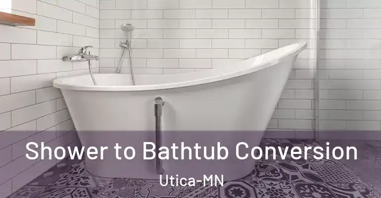 inner Bathroom imggen Shower to Bathtub Conversion Utica-MN