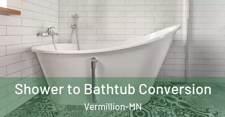 inner Bathroom imggen Shower to Bathtub Conversion Vermillion-MN