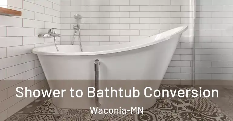 inner Bathroom imggen Shower to Bathtub Conversion Waconia-MN