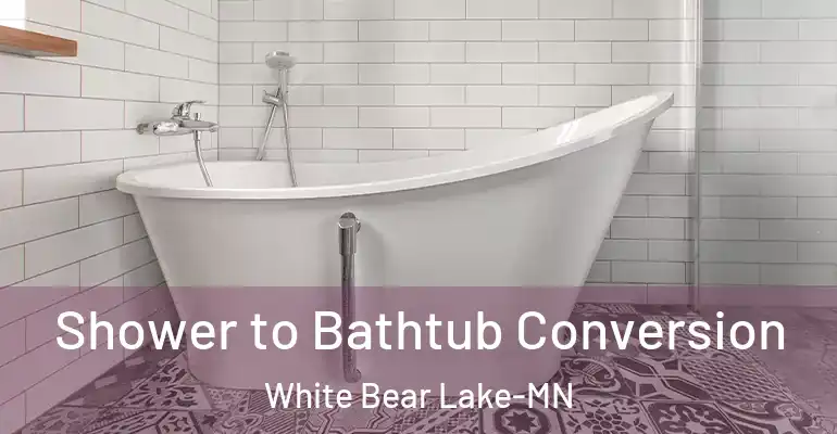 inner Bathroom imggen Shower to Bathtub Conversion White Bear Lake-MN