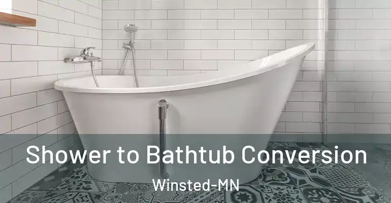 inner Bathroom imggen Shower to Bathtub Conversion Winsted-MN