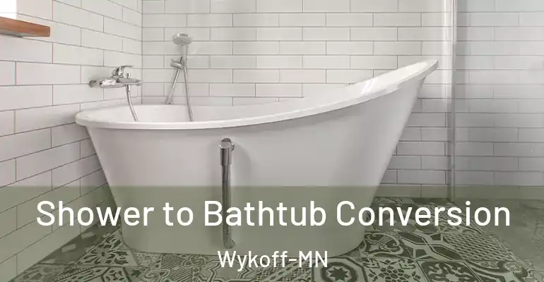 inner Bathroom imggen Shower to Bathtub Conversion Wykoff-MN