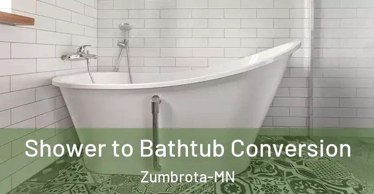 inner Bathroom imggen Shower to Bathtub Conversion Zumbrota-MN