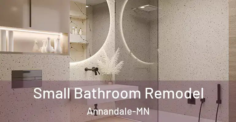 inner Bathroom imggen Small Bathroom Remodel Annandale-MN
