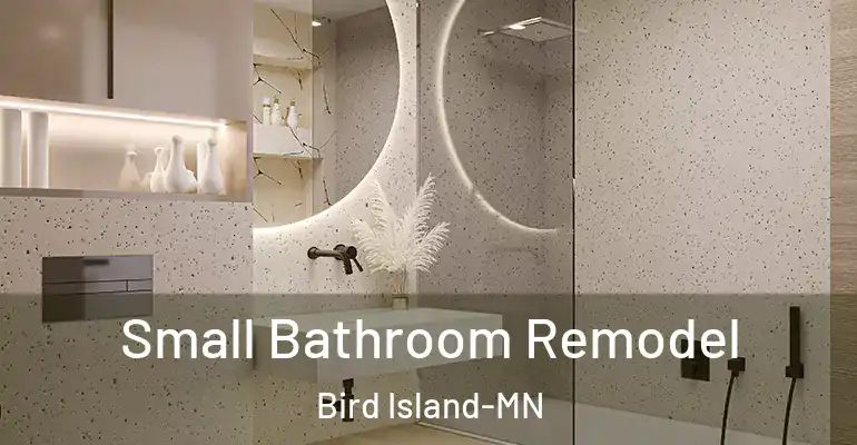 inner Bathroom imggen Small Bathroom Remodel Bird Island-MN