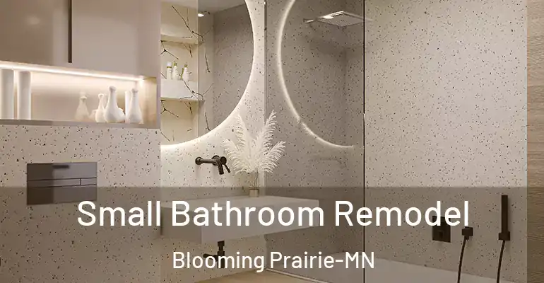 inner Bathroom imggen Small Bathroom Remodel Blooming Prairie-MN