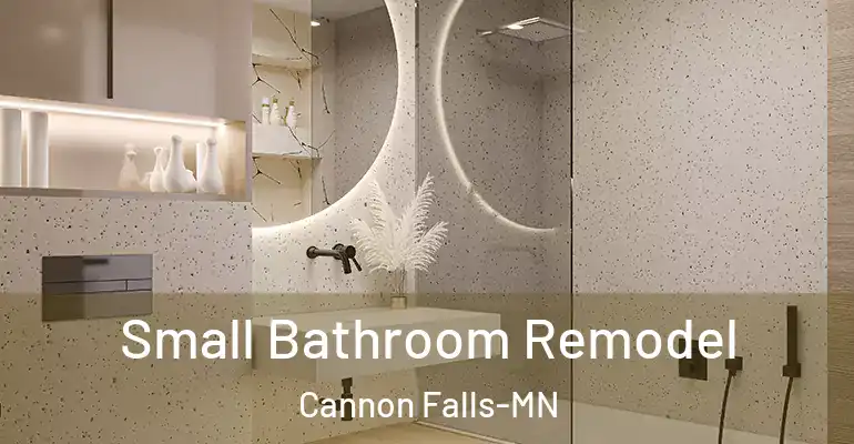 inner Bathroom imggen Small Bathroom Remodel Cannon Falls-MN