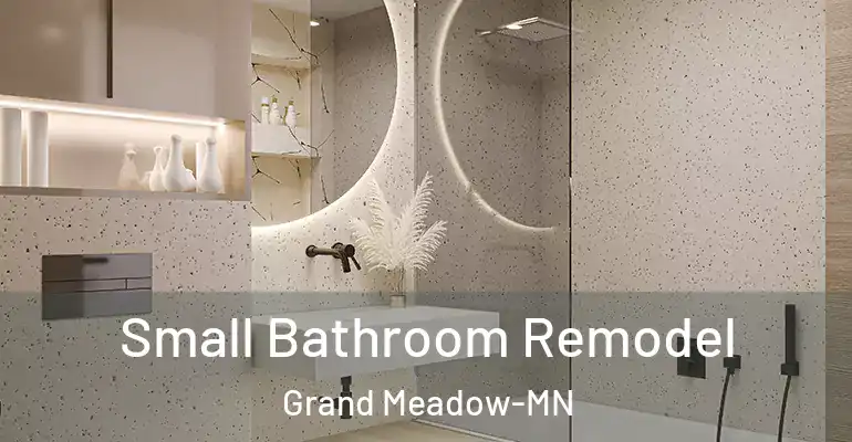 inner Bathroom imggen Small Bathroom Remodel Grand Meadow-MN